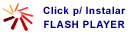 Instala o Macromedia Flash Player